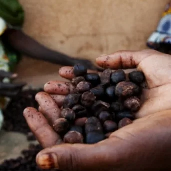 Είναι η Αφρική το μέλλον της κατανάλωσης και των εξαγωγών;
