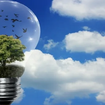 Η προστιθέμενη αξία της περιβαλλοντικής υπευθυνότητας