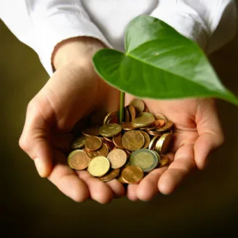 Κοινωνική Οικονομία και τομείς εφαρμογής στην σύγχρονη ζωή