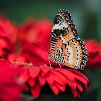 Η κάθε είδους ανάπτυξη έρχεται πάντοτε από...εσωτερική κατεύθυνση