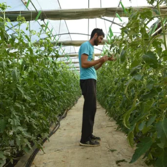 Κώστας Καραμόσχος: Ένας νέος αγρότης από την Λήμνο  που προωθεί την αγροτική καινοτομία
