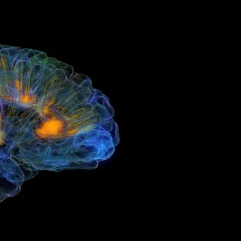 Πως να διαλέξετε εκπαίδευση NLP στην Ελλάδα και το Εξωτερικό [2ο μέρος]