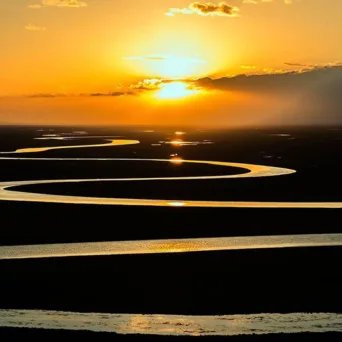 Απόφαση, η Φωνή που πρέπει να εμπιστευτείς