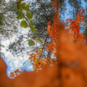 Σεπτέμβρης: Εννέα «ποιότητες» για να το πάρεις αλλιώς