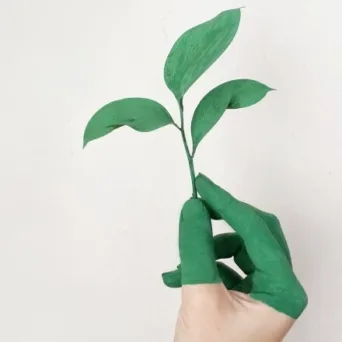 Η λύση για βιώσιμη ανάπτυξη προϋποθέτει την διαφάνεια της επιχειρηματικότητας