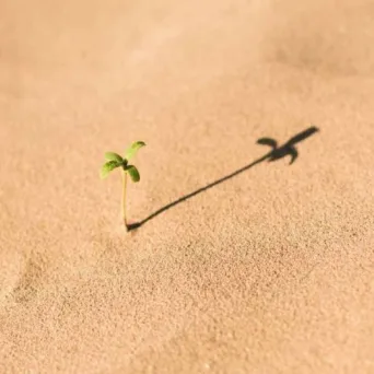 Είναι τα Αδύνατα Δυνατά;