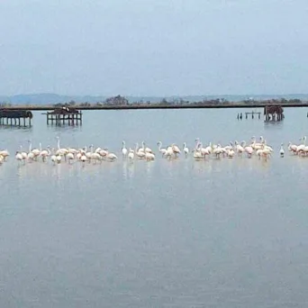 Δήμος Δέλτα: Η άγνωστη «πύλη» της Θεσσαλονίκης που οδηγεί στις εναλλακτικές μορφές τουρισμού