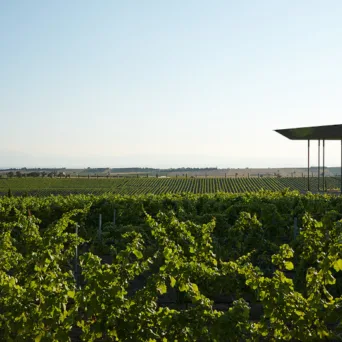 Ταξίδι με τη μηχανή του χρόνου στο Κτήμα Γεροβασιλείου