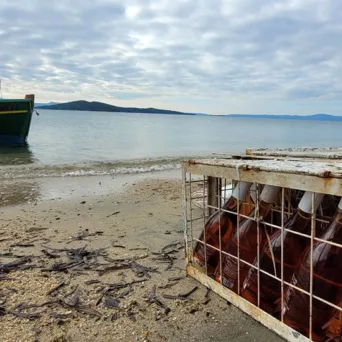Η συνύπαρξη των στοιχείων της φύσης, ο Ακάνθιος Οίνος​ και το Domaine Agrovision