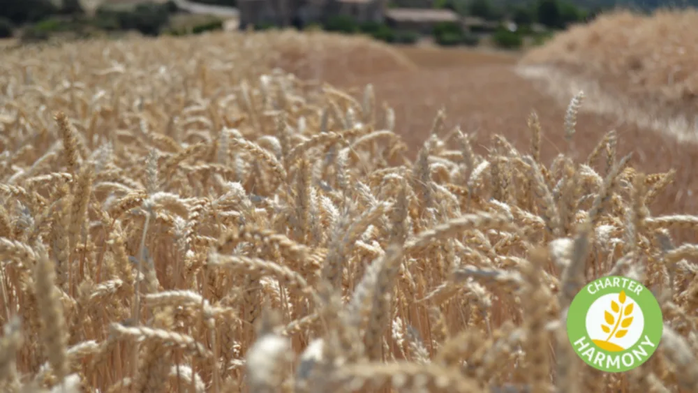 H Mondelēz International επεκτείνει το Πρόγραμμα Βιώσιμης Παραγωγής Σίτου για να καλύψει το 100% της παραγωγής μπισκότου στην Ευρώπη μέχρι το 2022