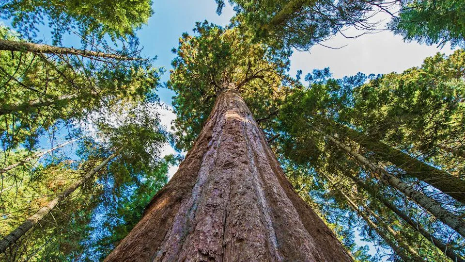Ξεκίνησε ο 5ος Πανελλήνιος Διαγωνισμός Ανοιχτών Τεχνολογιών στην Εκπαίδευση