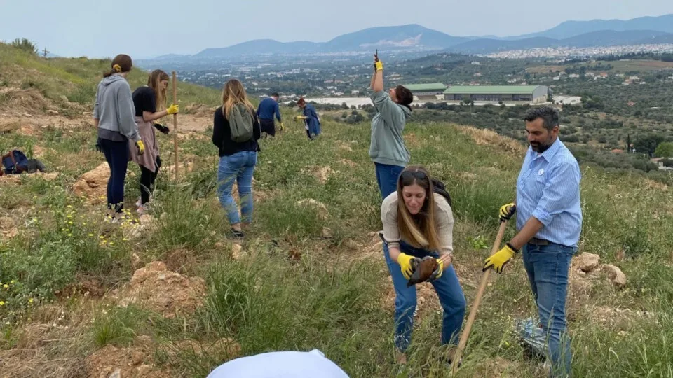 Δεντροφύτευση σε Αττική και Εύβοια με την υποστήριξη της KPMG