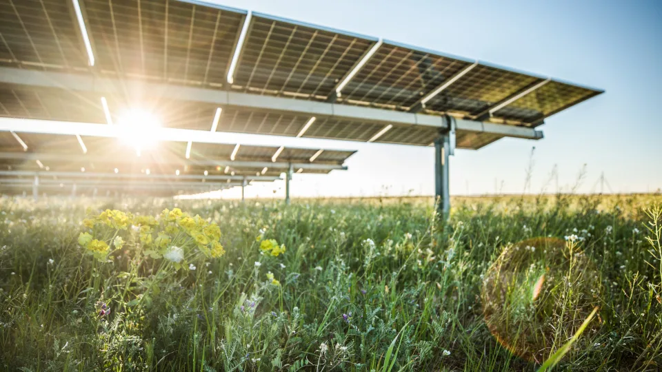 Η Lightsource bp εξασφάλισε 10 νέες συμβάσεις αγοράς ηλεκτρικής ενέργειας το 2024