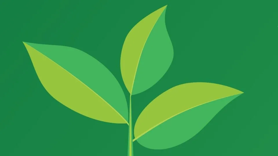 Νέα Γεωργία Νέα Γενιά: Εκπαιδευτικά εργαστήρια 18 και 19 Φεβρουαρίου