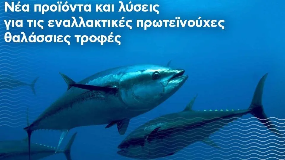 Trophy-Τροφή Open Innovation by Trata: έως και τις 2 Οκτωβρίου οι αιτήσεις συμμετοχής