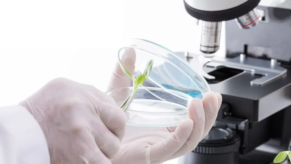 Perrotis College: ​Δύο υποτροφίες για σπουδαστές  από τις πυρόπληκτες περιοχές του 2023