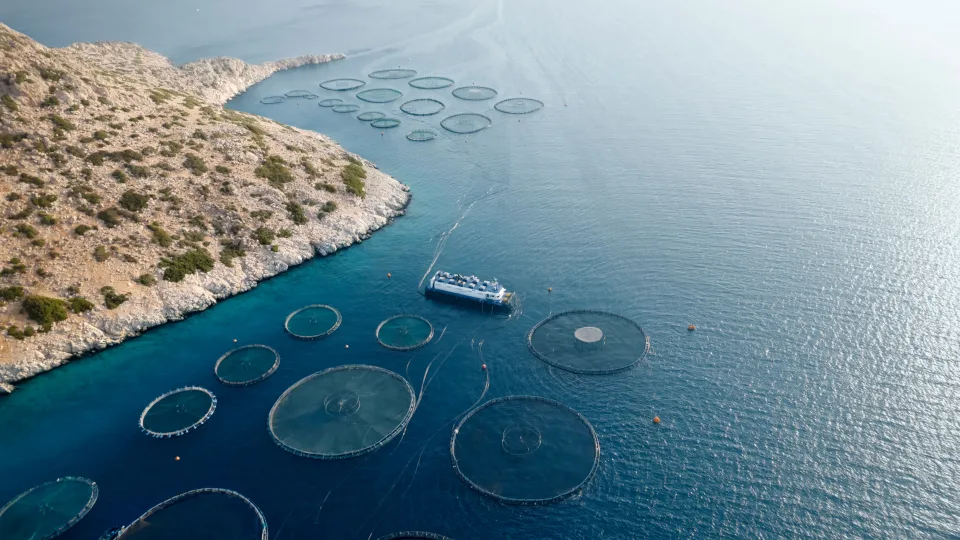 Πρωτοπόρος η Philosofish στη χρήση Ανανεώσιμων Πηγών Ενέργειας σε όλη τη Μεσόγειο