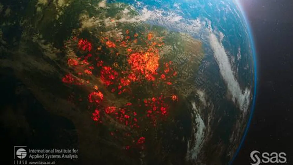 Η SAS αξιοποιεί την crowd driven τεχνητή νοημοσύνη για να συμβάλλει στην προστασία των δασών