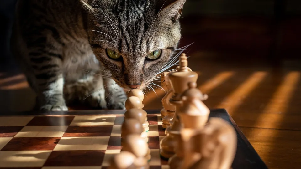 Στην σκακιέρα των ενεργειακών κολοσσών παίρνουν θέσεις οι ασφαλιστικές