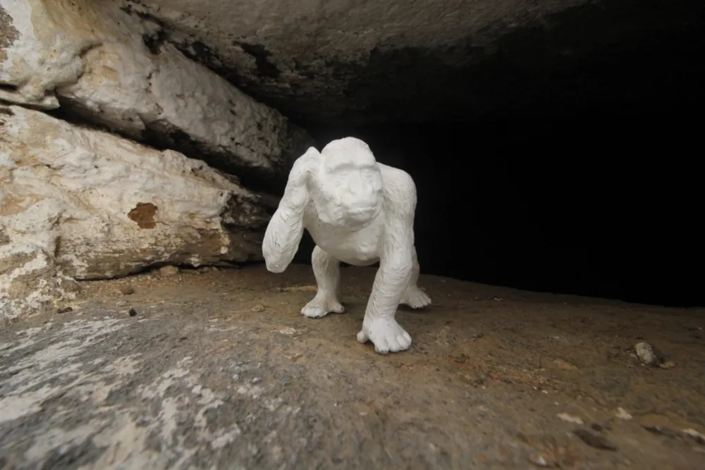 ZIG ZAG Festival 2022: Μια συνομιλία Τέχνης και Περιβάλλοντος