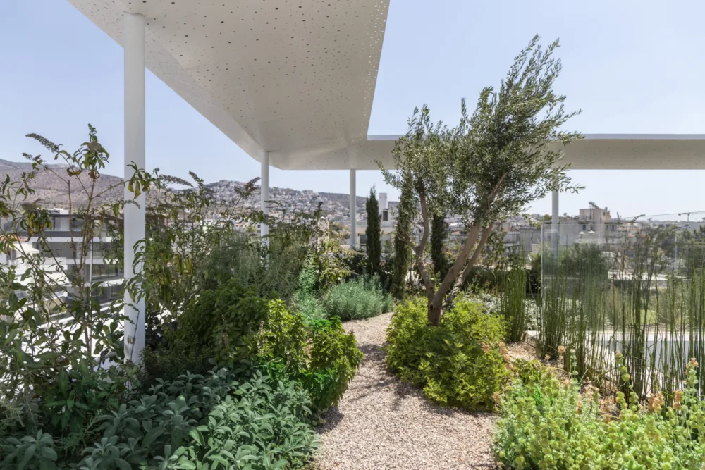 Η ζωή σε σπίτια και γραφεία με κατάφυτα δώματα