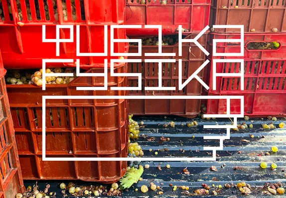 Φυσικά Fysika: Τι κάνουν 80 κρασιά μέσα σε ένα γήπεδο μπάσκετ;