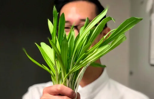 Βιέννη: Hyperlocal τρόφιμα και εστιατόρια την κάνουν πιο πράσινη