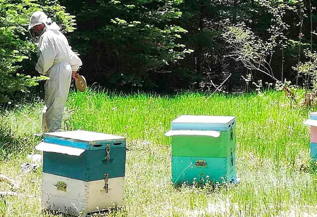 Βότανα, λουλούδια, μέλι και βιωσιμότητα