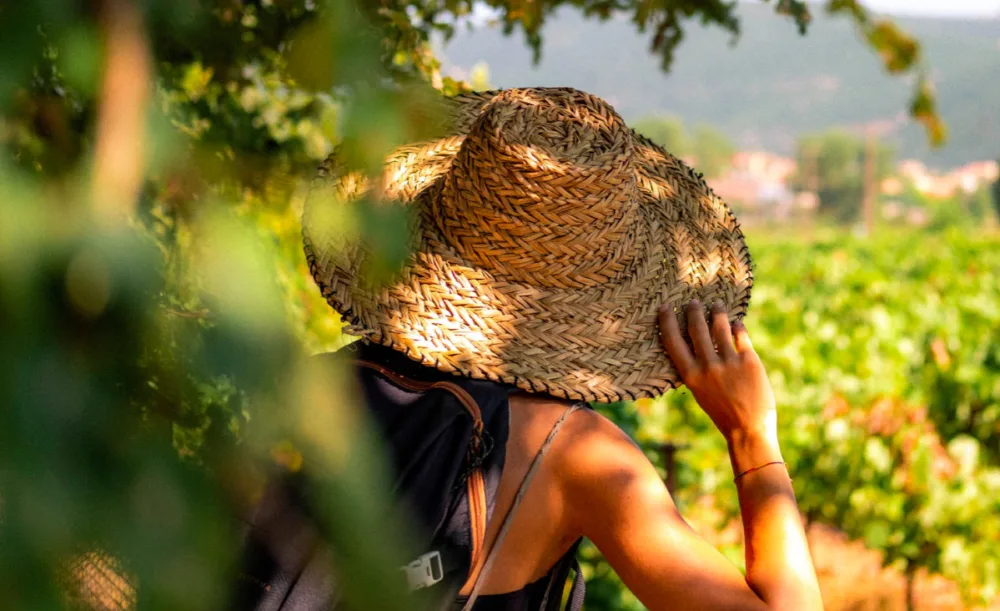 Wine Tourism Greece: O οινοτουρισμός της Ελλάδας σε μία πλατφόρμα