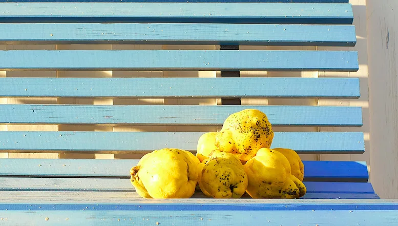 Τα κυδώνια, η αρχαία Ελλάδα και η ιστορία της μαρμελάδας