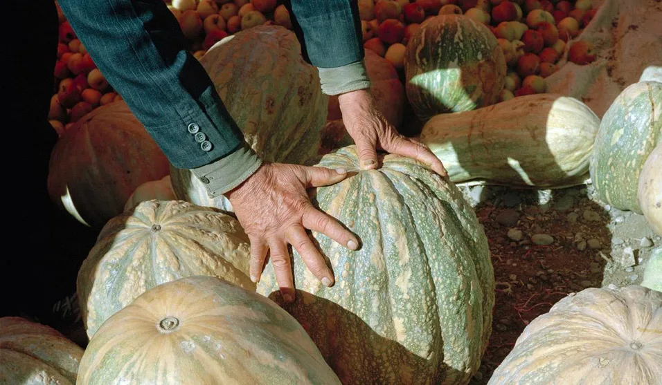 Foodprint: Μια εικαστική ωδή στη Μεσογειακή Διατροφή