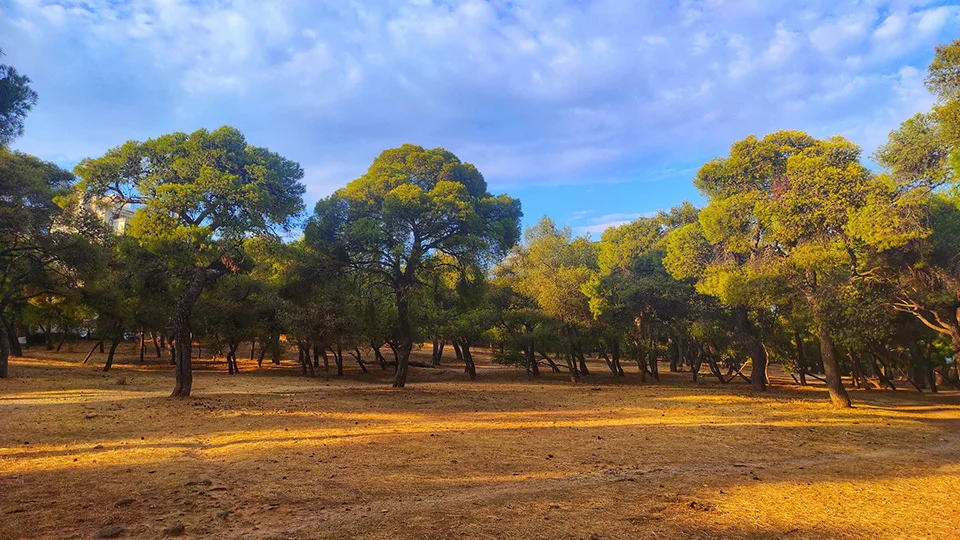 Από το όραμα στην αποστολή
