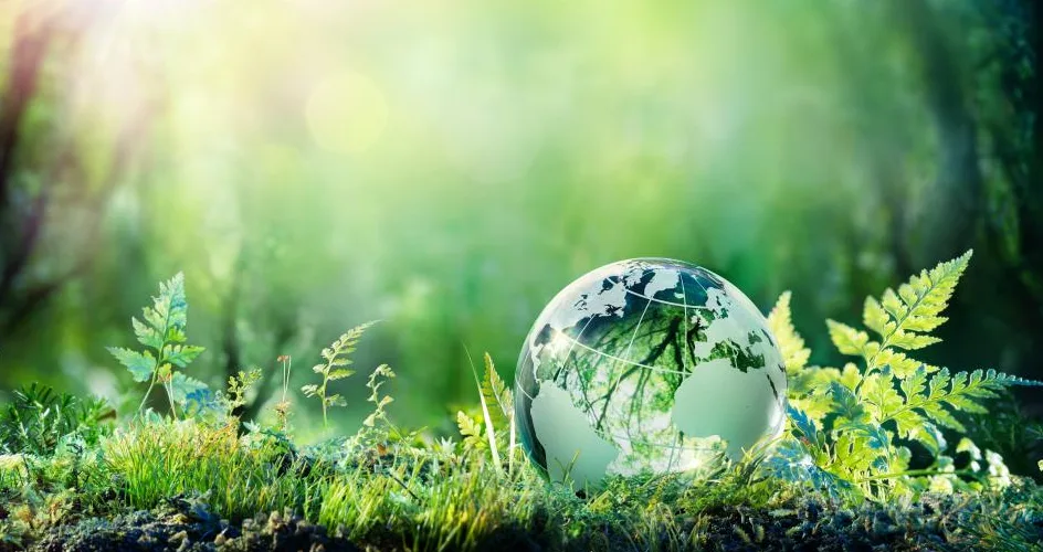 «Πράσινη Μετάβαση»: 7 στους 10 Έλληνες εργοδότες ψάχνουν ταλέντα - Οι δημοφιλείς κλάδοι