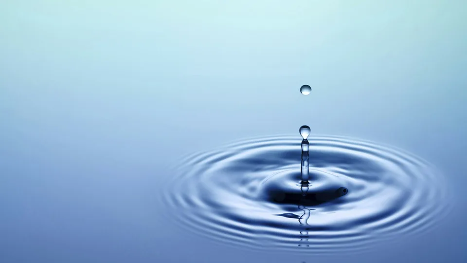 «Water for thought» με αφορμή την Παγκόσμια Ημέρα του Νερού