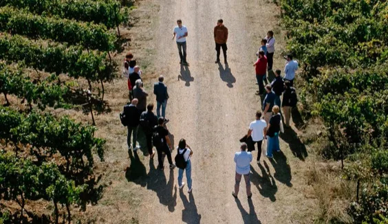 The Mantinians: Η Μαντινεία, το Μοσχοφίλερο και μια νέα ομάδα οινοποιών