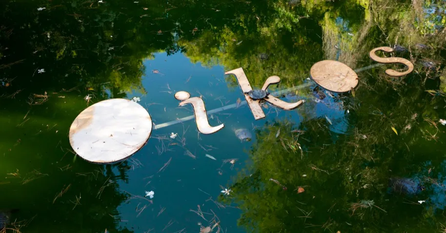 «Κολυμπώντας στο δάσος» της ολοκαίνουργιας έκθεσης στον Βοτανικό Κήπο