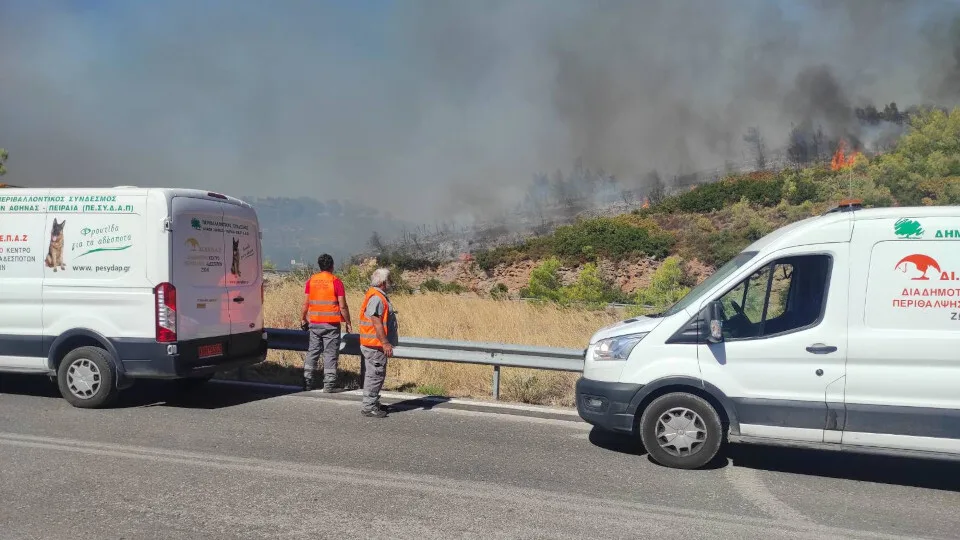 Διάσωση ζώων μέσα από τις φλόγες από διασώστες του ΔΙΚΕΠΑΖ