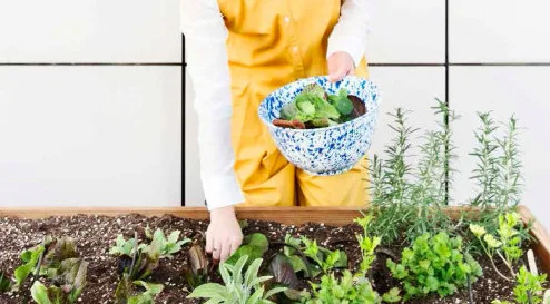 Και τι είναι τέλος πάντων μια σαλάτα;