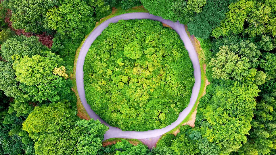 ElvalHalcor και Όμιλος Quest: Με στόχο τη βιώσιμη ανάπτυξη και την απανθρακοποίηση