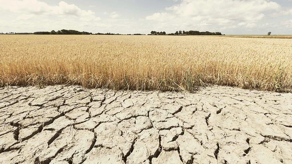 To τέλος της γεωργίας;