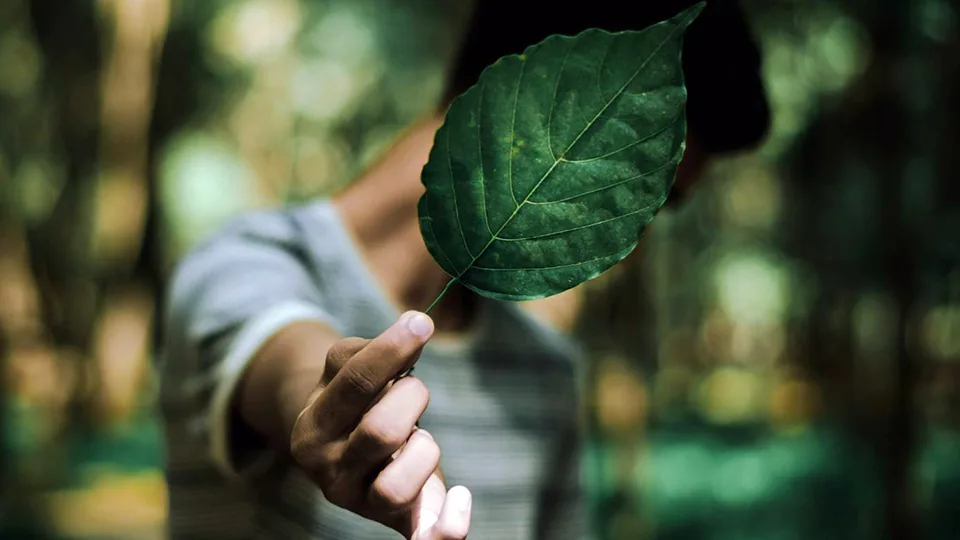 Business not as usual: Μετατρέποντας το "μη χρήσιμο" σε προϊόν και ενέργεια