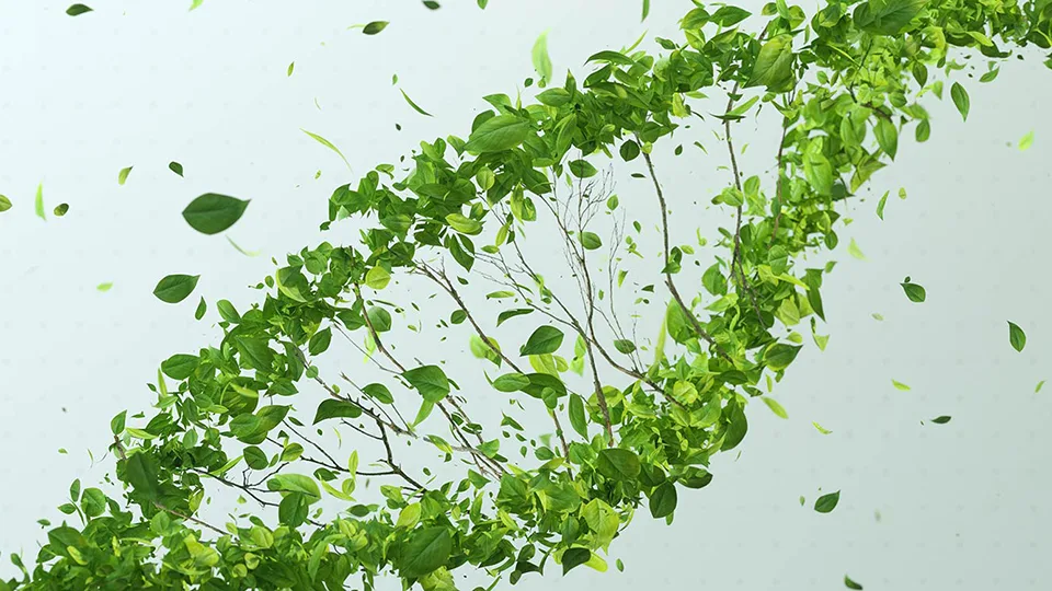 ESG: Από τη συμμόρφωση στη στρατηγική αξία