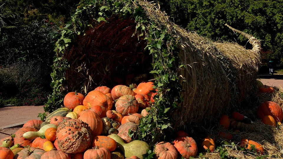 Η αφθονία ως στρατηγική στάση ζωής – και όχι μόνο στόχος
