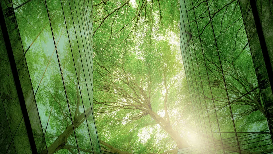 ESG και Βιοποικιλότητα: Μπορούν οι εταιρείες να βοηθήσουν τη φύση;