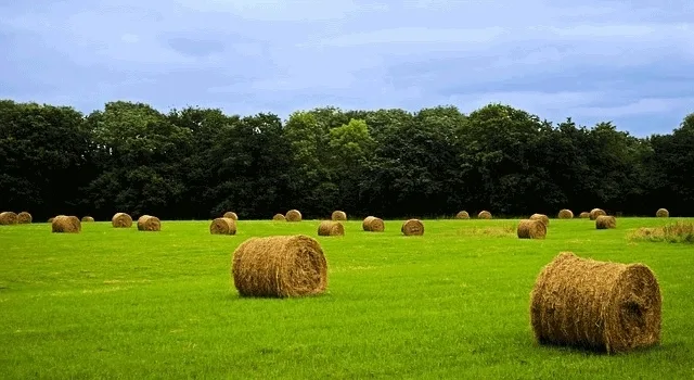 Άνεργοι Νέοι ή Έλληνες Νέοι Αγρότες