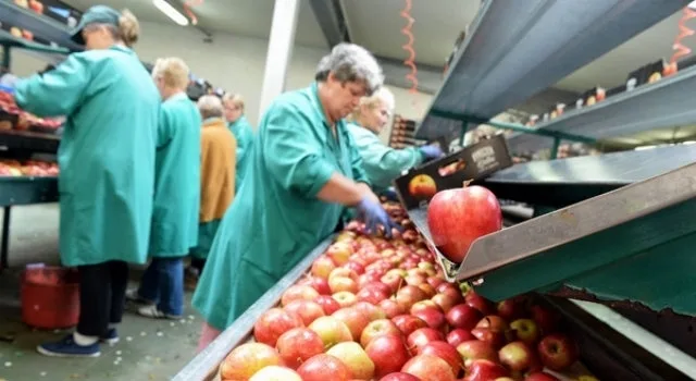 Πώς πρέπει να προστατεύσει η ΕΕ τις ευρωπαϊκές επιχειρήσεις από το ρώσικο εμπάργκο;