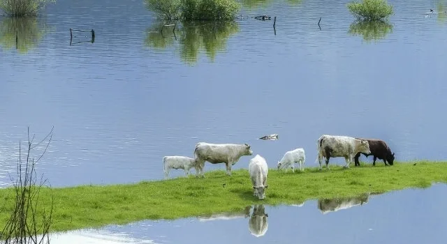 H ΕΕ προτείνει μέτρα για να βοηθήσει την Ιταλία, την Ελλάδα, τη Σλοβενία και την Κροατία να αντιμετωπίσουν καταστροφές από κακές καιρικές συνθήκες