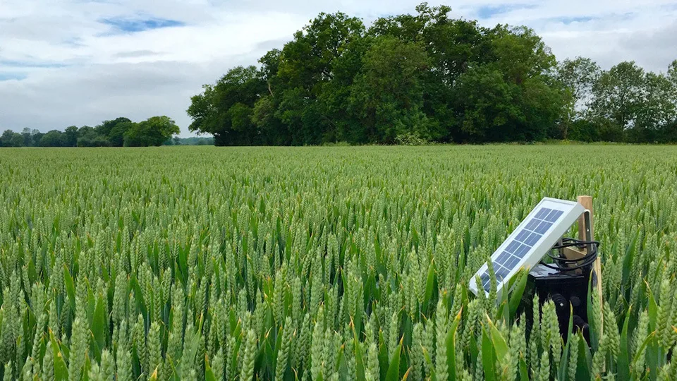 Smart AKI Network: Καταγραφή, Αξιολόγηση, Προώθηση Τεχνολογιών Έξυπνης Γεωργίας