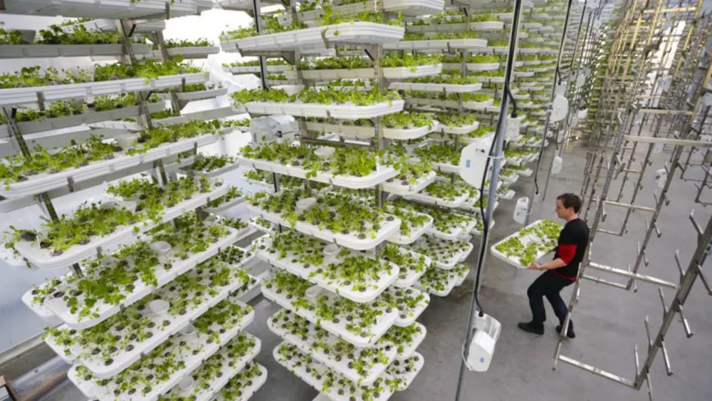 Κάθετη γεωργία: Η τελευταία τάση στην παραγωγή τροφίμων