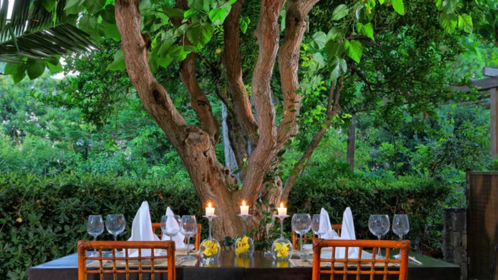 Διαφορετική διάκριση: Ξενοδοχείο στην Κρήτη ανάμεσα στα κορυφαία για vegan παγκοσμίως [εικόνες]